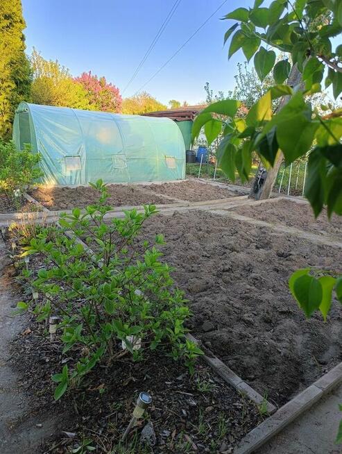 Działka rekreacyjna ROD