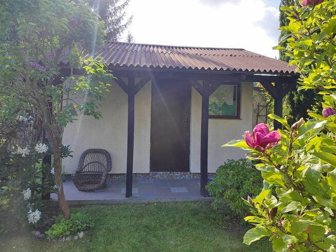 Działka rekreacyjna ROD Konin - Rumin