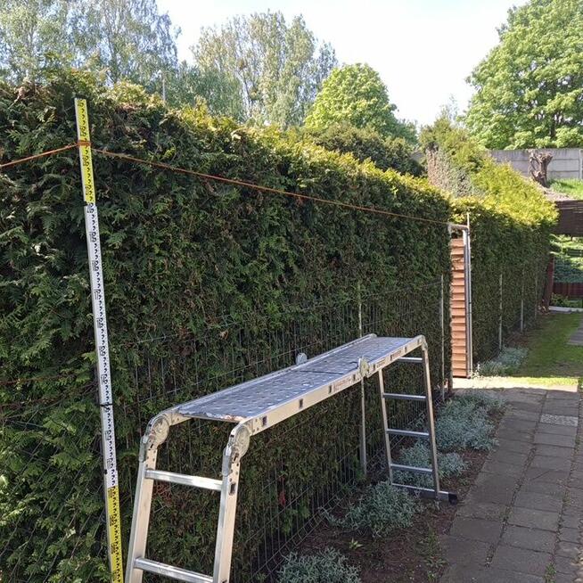 Przycinanie żywopłotów