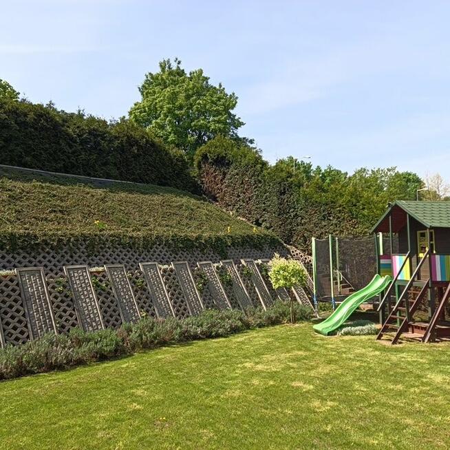 Przycinanie żywopłotów