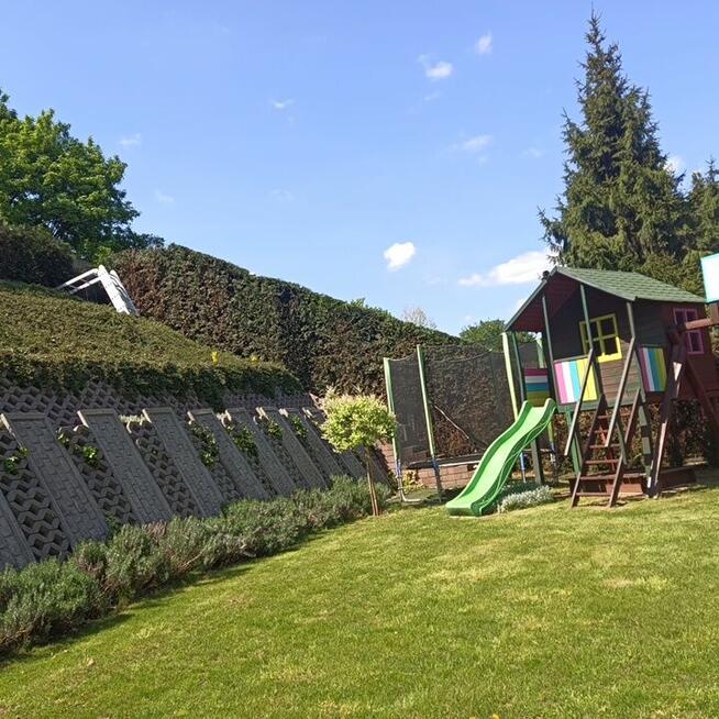 Przycinanie żywopłotów