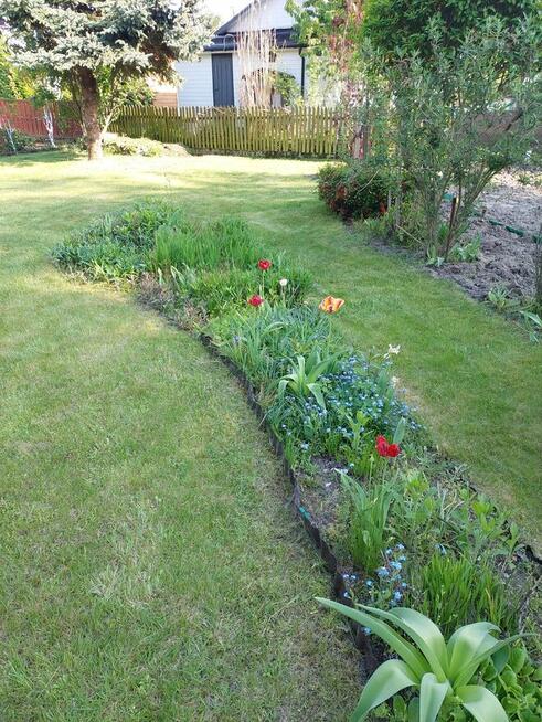 Działka rekreacyjna ROD Konin - Rumin