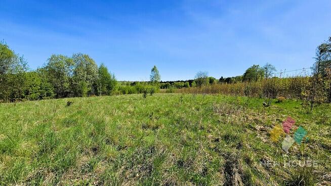 Działka nad rozlewiskiem, możliwość zabudowy