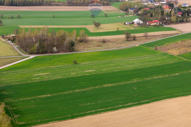 Działka na sprzedaż 3900 m2 - Syberia gm. Brzeziny