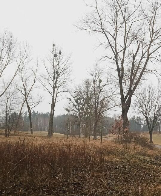 Działka z dostępem do jeziora, Mragowo, pod dom jednorodzinn