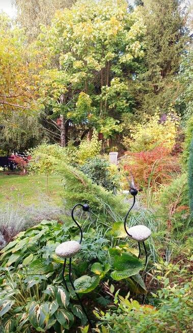 Pokoje Gościnne U Małgosi