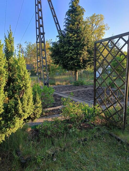 Działka rekreacyjna ROD