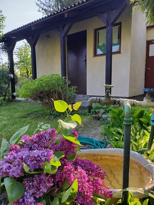 Działka rekreacyjna ROD Konin - Rumin