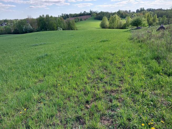 Sprzedam ziemię orną