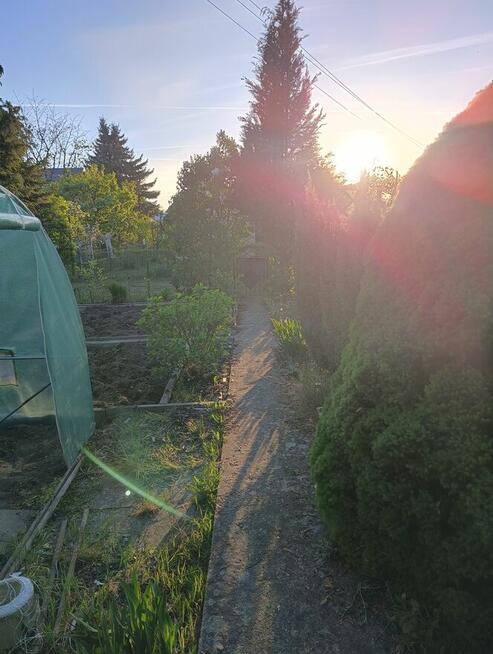 Działka rekreacyjna ROD