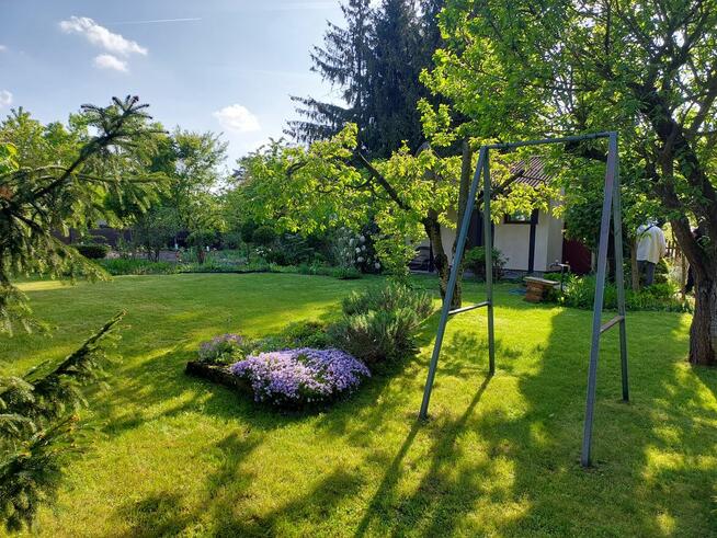 Działka rekreacyjna ROD Konin - Rumin