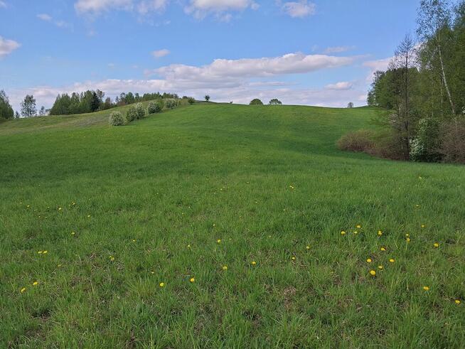 Sprzedam ziemię orną