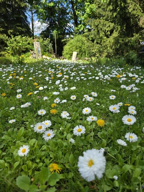 Pokoje Gościnne U Małgosi