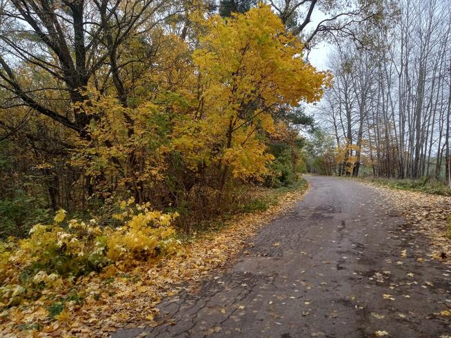 Działka z dostępem do jeziora, Mragowo, pod dom jednorodzinn