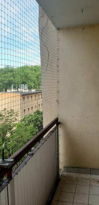 siatka dla kota na taras, balkon okna ,