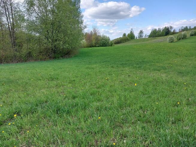 Sprzedam ziemię orną