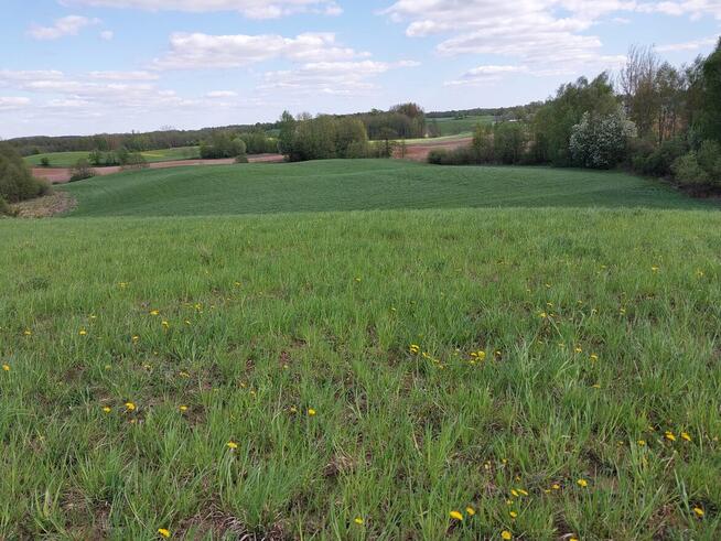 Sprzedam ziemię orną