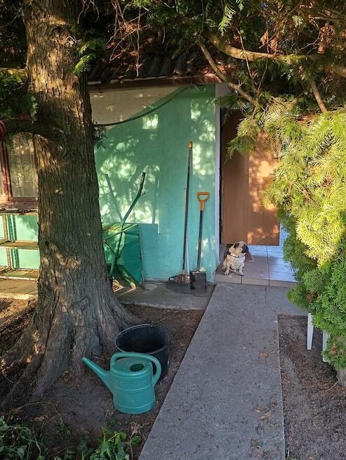 Działka rekreacyjna ROD