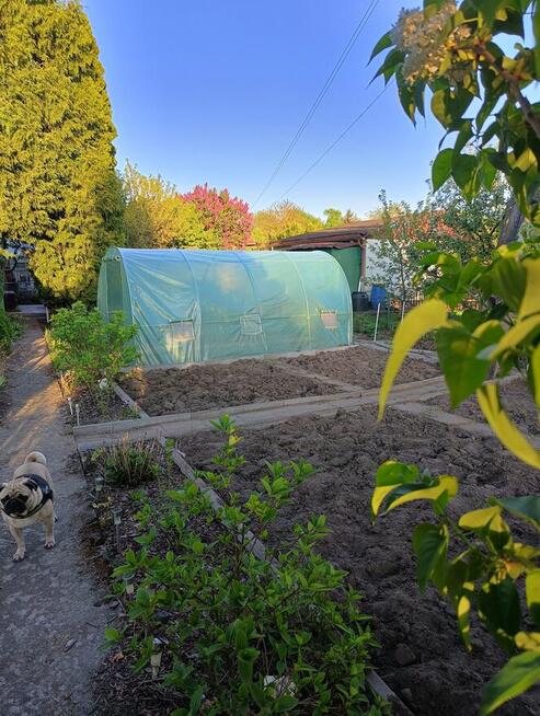 Działka rekreacyjna ROD