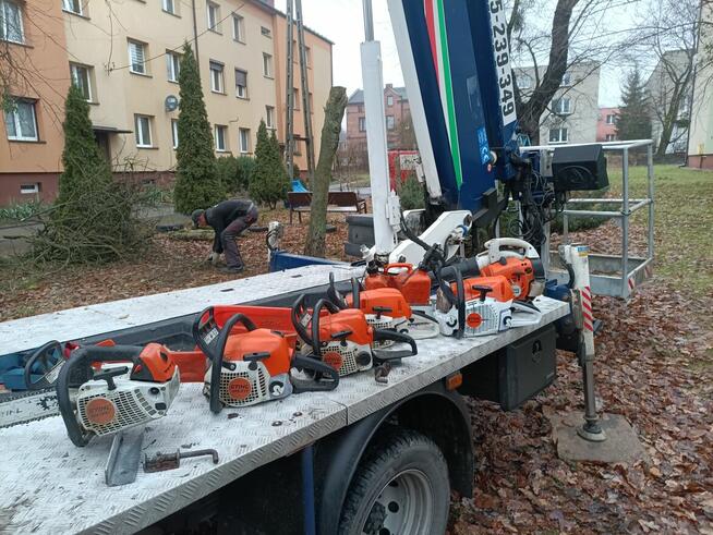 Przycinanie żywopłotów