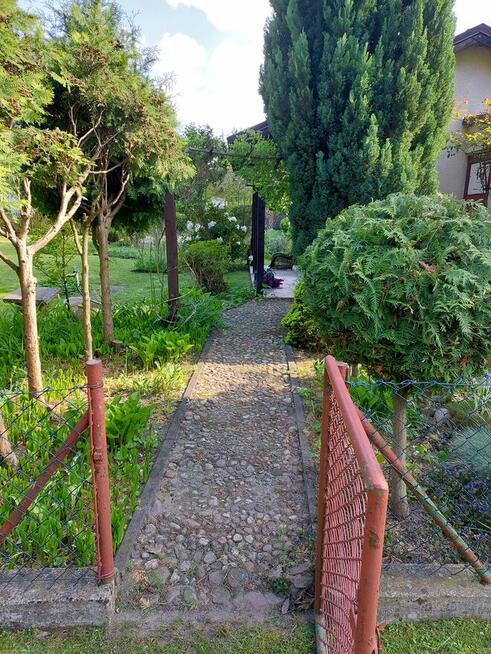 Działka rekreacyjna ROD Konin - Rumin