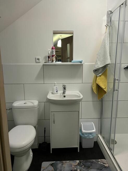 Mieszkanie do wynajęcia