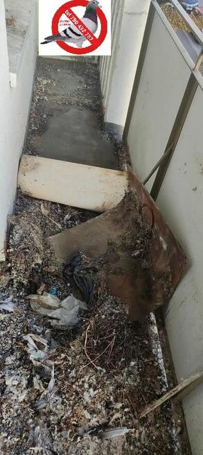 siatka dla kota na taras, balkon okna ,