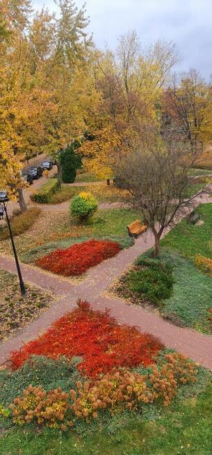 Kraśnik 48,8 m2 z pięknym widokiem na 2 parki, Sikorskiego 5