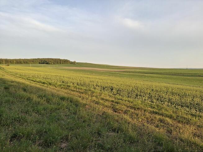 Nocleg w domku wolnostojącym