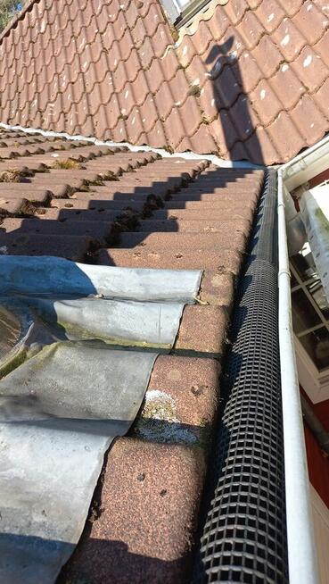 Pracowity człowiek szuka pracy, Ogrodnik, Pielęgnacja ogrodu