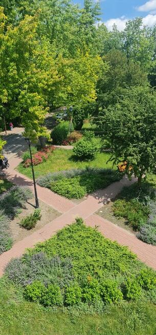 Kraśnik 48,8 m2 z pięknym widokiem na 2 parki, Sikorskiego 5