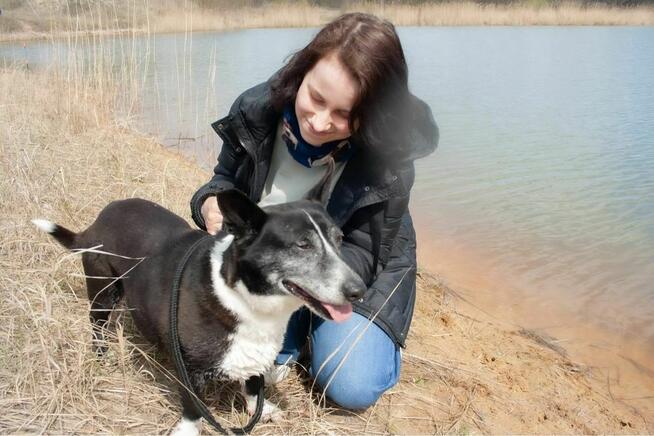 Fedor-cudowny starszy niskopodłogowy psiak do pilnej adopcji