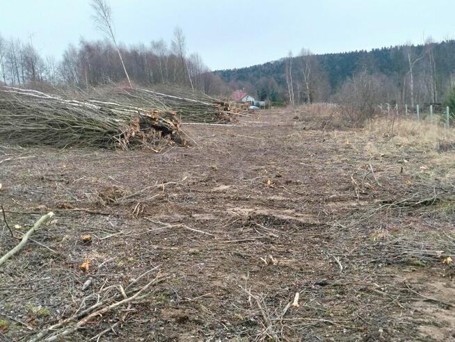 Wycinka Drzew Rekultywacja Głowica Ścinkowa Rębak