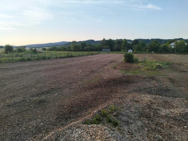 Mulczer Leśny czyszczenie terenu wycinka karczowanie