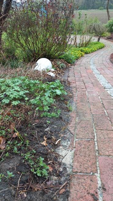 Pracowity człowiek szuka pracy, Ogrodnik, Pielęgnacja ogrodu