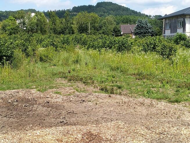 Wycinka Drzew Rekultywacja Głowica Ścinkowa Rębak