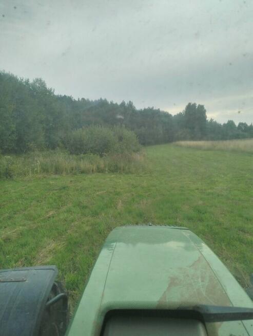 Wycinka Drzew Rekultywacja Głowica Ścinkowa Rębak