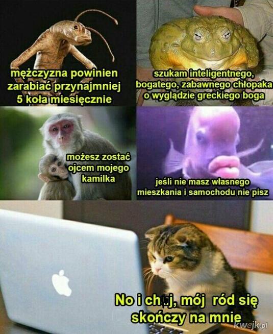 Nie mam nic samochodu domu pieniędzy napiszesz?