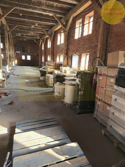 Tania przestrzeń komercyjna- tylko 20 PLN/mkw.