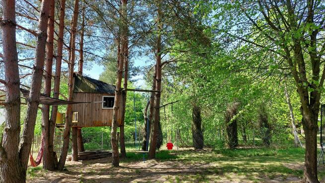 Wytyczno, działka rekreacyjna, domek nad jeziorem