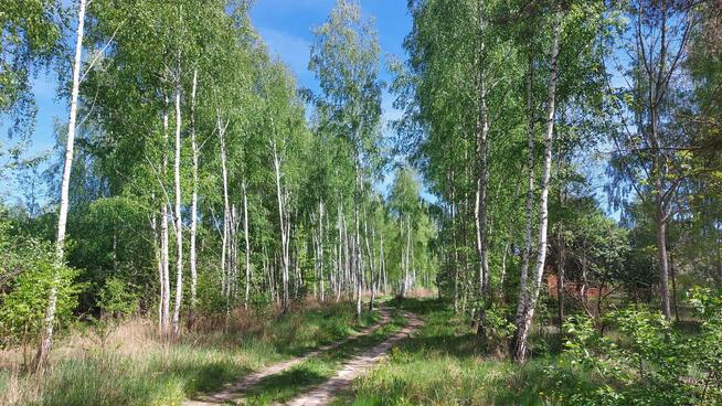Wytyczno, działka rekreacyjna, domek nad jeziorem