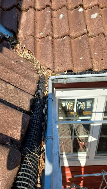 Pracowity człowiek szuka pracy, Ogrodnik, Pielęgnacja ogrodu