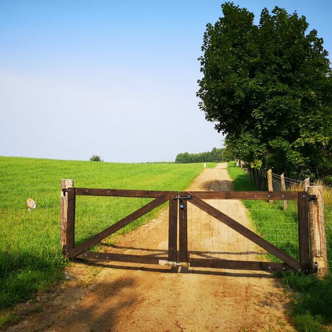Działki budowlane w Kretowinach nad jeziorem Narie.