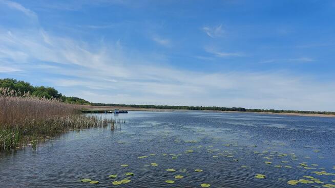Wytyczno, działka rekreacyjna, domek nad jeziorem