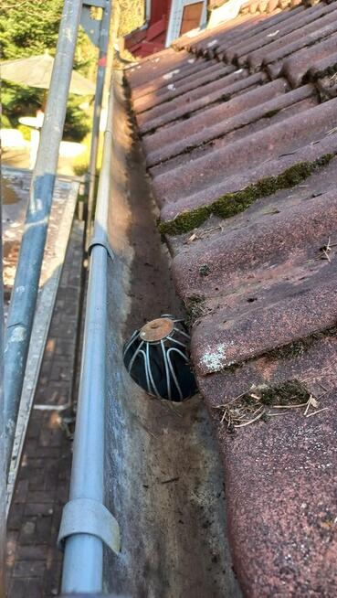 Pracowity człowiek szuka pracy, Ogrodnik, Pielęgnacja ogrodu