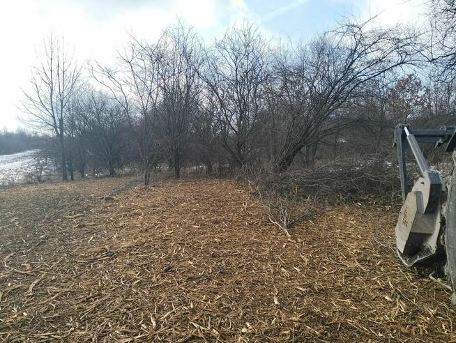 Wycinka Drzew Rekultywacja Głowica Ścinkowa Rębak