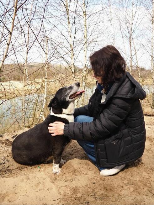 Fedor-cudowny starszy niskopodłogowy psiak do pilnej adopcji