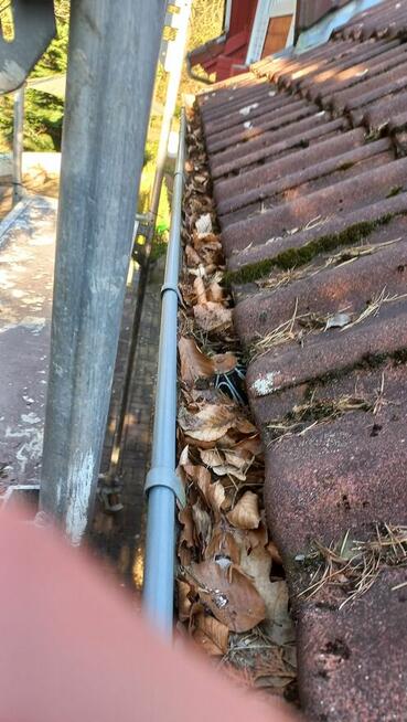 Pracowity człowiek szuka pracy, Ogrodnik, Pielęgnacja ogrodu