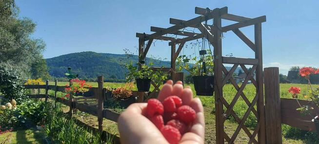 Sprzedam działkę rekreacyjną