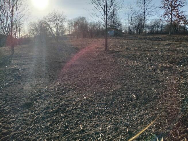 Mulczer Leśny czyszczenie terenu wycinka karczowanie